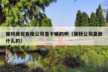 推特商贸有限公司是干嘛的啊（推特公司是做什么的）
