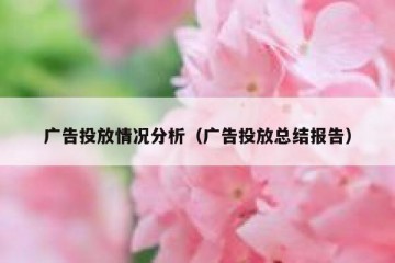广告投放情况分析（广告投放总结报告）