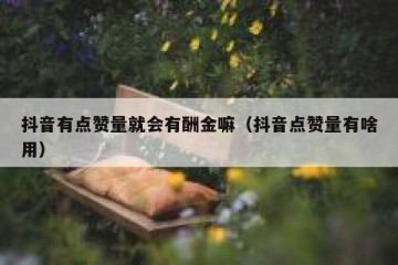 抖音有点赞量就会有酬金嘛（抖音点赞量有啥用）