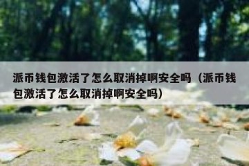 派币钱包激活了怎么取消掉啊安全吗（派币钱包激活了怎么取消掉啊安全吗）