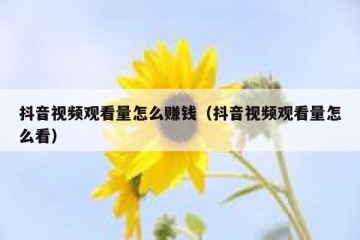 抖音视频观看量怎么赚钱（抖音视频观看量怎么看）