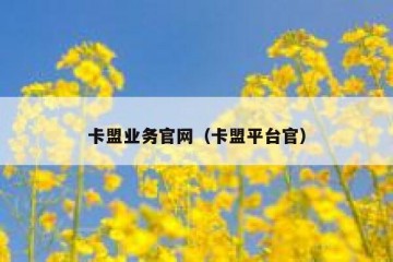 卡盟业务官网（卡盟平台官）