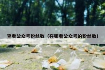 查看公众号粉丝数（在哪看公众号的粉丝数）