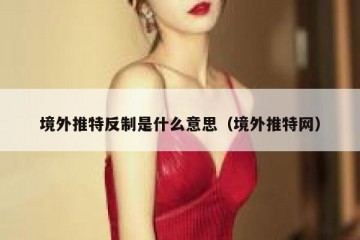境外推特反制是什么意思（境外推特网）