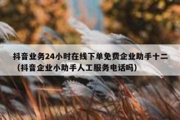 抖音业务24小时在线下单免费企业助手十二（抖音企业小助手人工服务电话吗）