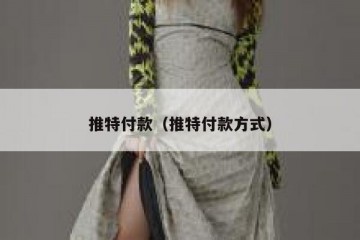 推特付款（推特付款方式）