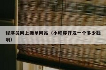 程序员网上接单网站（小程序开发一个多少钱啊）