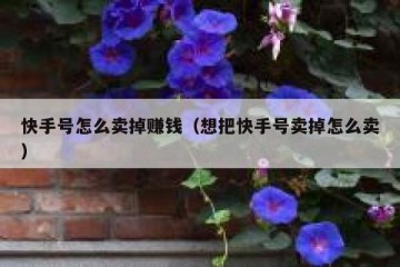 快手号怎么卖掉赚钱（想把快手号卖掉怎么卖）