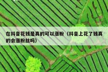 在抖音花钱是真的可以涨粉（抖音上花了钱真的会涨粉丝吗）