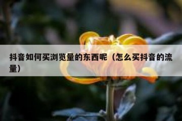 抖音如何买浏览量的东西呢（怎么买抖音的流量）