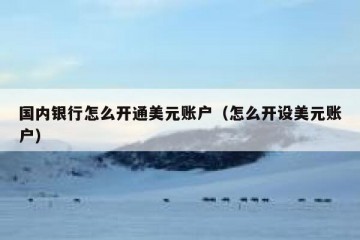 国内银行怎么开通美元账户（怎么开设美元账户）