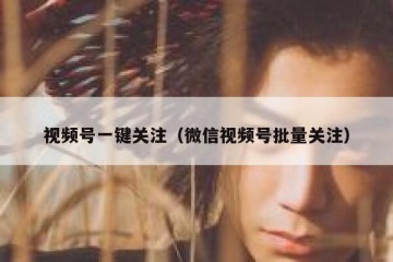 视频号一键关注（微信视频号批量关注）