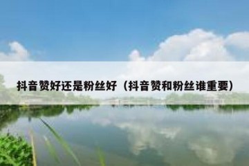 抖音赞好还是粉丝好（抖音赞和粉丝谁重要）
