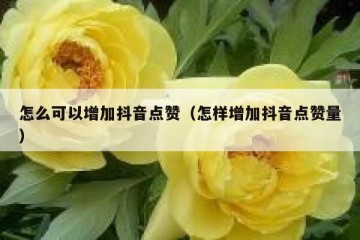 怎么可以增加抖音点赞（怎样增加抖音点赞量）