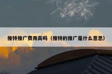 推特推广费用高吗（推特的推广是什么意思）