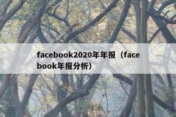 facebook2020年年报（facebook年报分析）