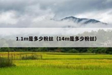 1.1m是多少粉丝（14m是多少粉丝）