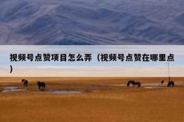 视频号点赞项目怎么弄（视频号点赞在哪里点）