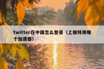 twitter在中国怎么登录（上推特用哪个加速器）