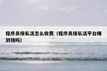 程序员接私活怎么收费（程序员接私活平台赚到钱吗）