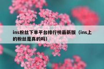ins粉丝下单平台排行榜最新版（ins上的粉丝是真的吗）