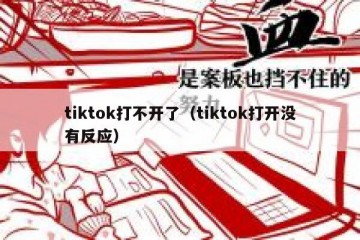 tiktok打不开了（tiktok打开没有反应）