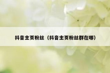 抖音主页粉丝（抖音主页粉丝群在哪）