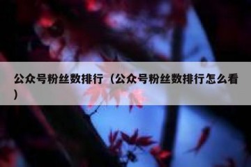公众号粉丝数排行（公众号粉丝数排行怎么看）