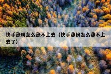 快手涨粉怎么涨不上去（快手涨粉怎么涨不上去了）