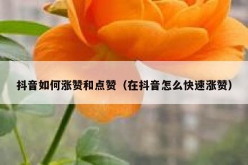 抖音如何涨赞和点赞（在抖音怎么快速涨赞）