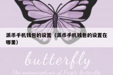 派币手机钱包的设置（派币手机钱包的设置在哪里）