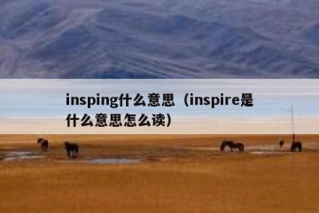 insping什么意思（inspire是什么意思怎么读）
