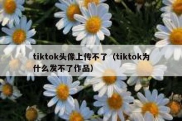 tiktok头像上传不了（tiktok为什么发不了作品）