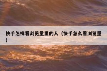 快手怎样看浏览量里的人（快手怎么看浏览量）