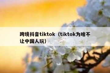 跨境抖音tiktok（tiktok为啥不让中国人玩）