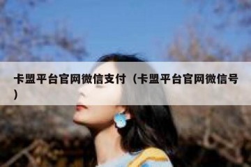 卡盟平台官网微信支付（卡盟平台官网微信号）