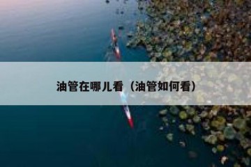 油管在哪儿看（油管如何看）