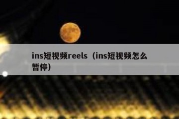 ins短视频reels（ins短视频怎么暂停）
