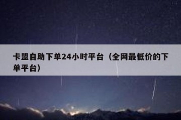 卡盟自助下单24小时平台（全网最低价的下单平台）