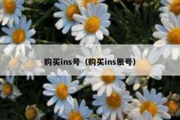 购买ins号（购买ins账号）
