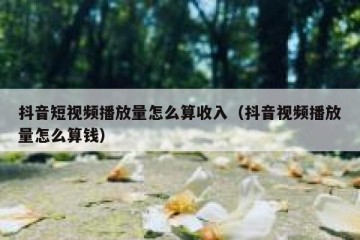 抖音短视频播放量怎么算收入（抖音视频播放量怎么算钱）