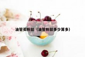 油管买粉丝（油管粉丝多少算多）