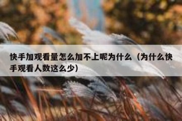 快手加观看量怎么加不上呢为什么（为什么快手观看人数这么少）