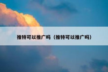 推特可以推广吗（推特可以推广吗）
