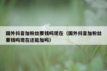 国外抖音加粉丝要钱吗现在（国外抖音加粉丝要钱吗现在还能加吗）