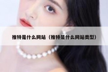 推特是什么网站（推特是什么网站类型）