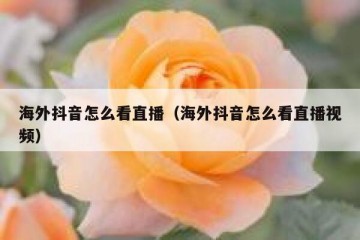 海外抖音怎么看直播（海外抖音怎么看直播视频）