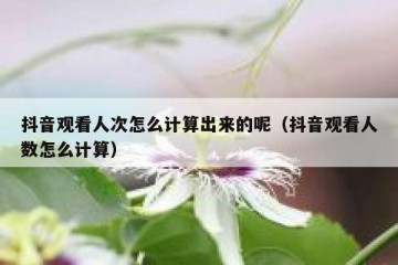 抖音观看人次怎么计算出来的呢（抖音观看人数怎么计算）