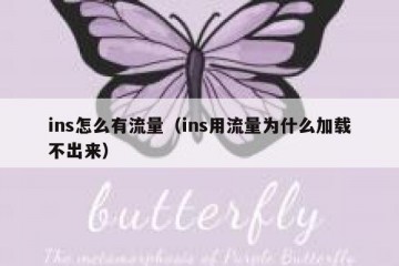 ins怎么有流量（ins用流量为什么加载不出来）