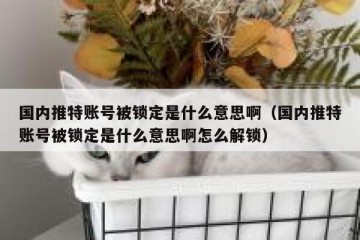 国内推特账号被锁定是什么意思啊（国内推特账号被锁定是什么意思啊怎么解锁）